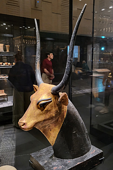 From Tutankhamun's tomb