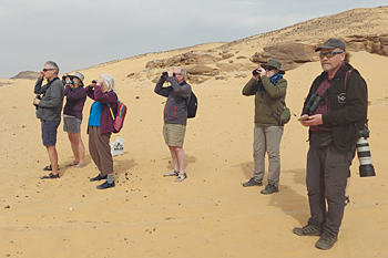 Birding within ten metres of the Nile - arid!