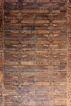 Circling like vultures