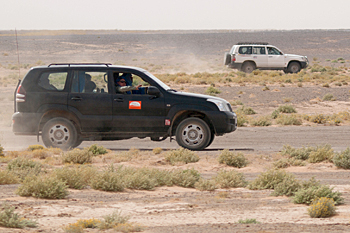 Jeeps in the desert