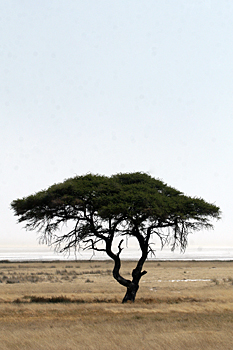 Etosha Pan