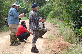 Mangrove birding