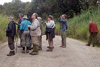Birding Tari Road