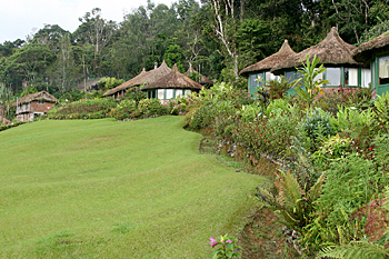 Ambua Lodge interior