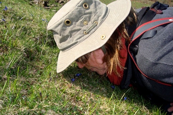 Julia getting sniffy