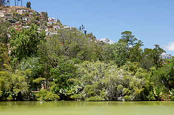 Antananarivo Zoo