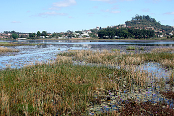 Antananarivo wetlands