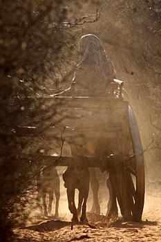 Peasant life - is tough