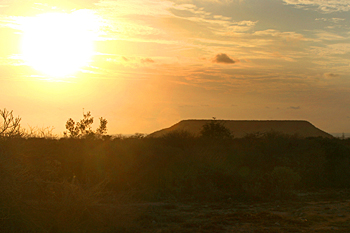 La Table - home of coral rag scrub